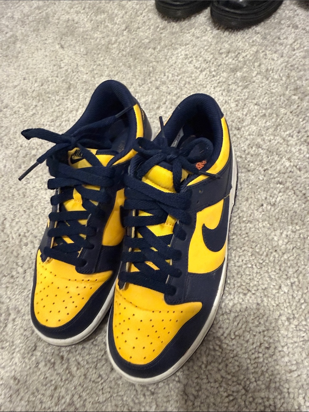 Nike Michigan state dunks
